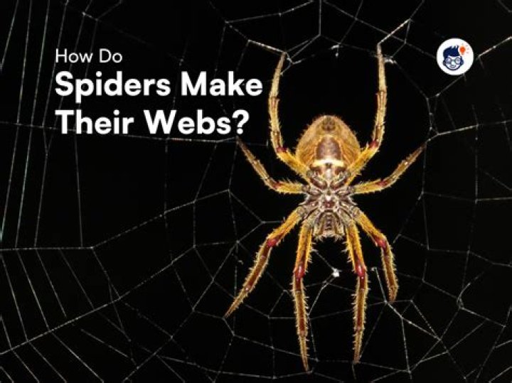 How do I attack Skulltulas sitting on their webs?