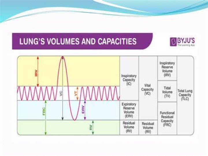 How is Lung Capacity calculated?