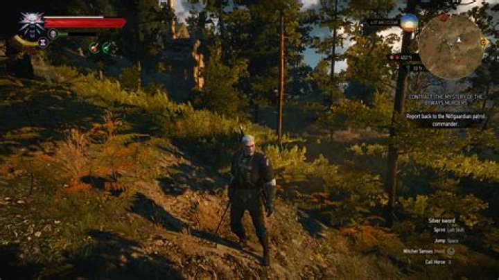 Is there a screenshot functionality in The Witcher 3?