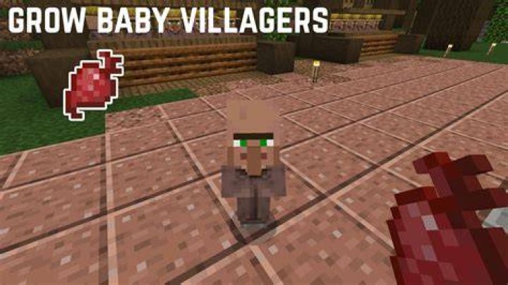 Spawning a Villager via a Command Block
